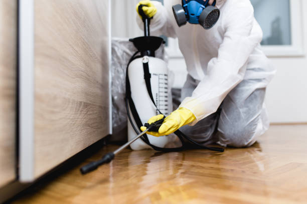 Best Pest Prevention Services  in Ashburn, VA