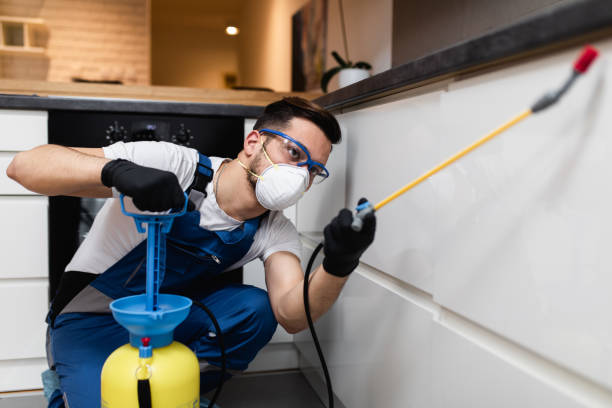 Best Pest Inspection Near Me  in Ashburn, VA