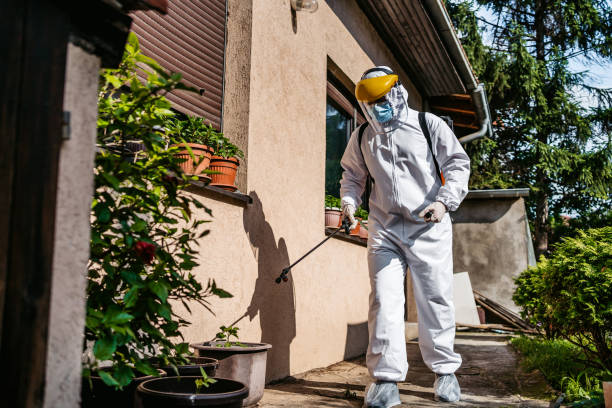 Best Pest Control Near Me in Ashburn, VA