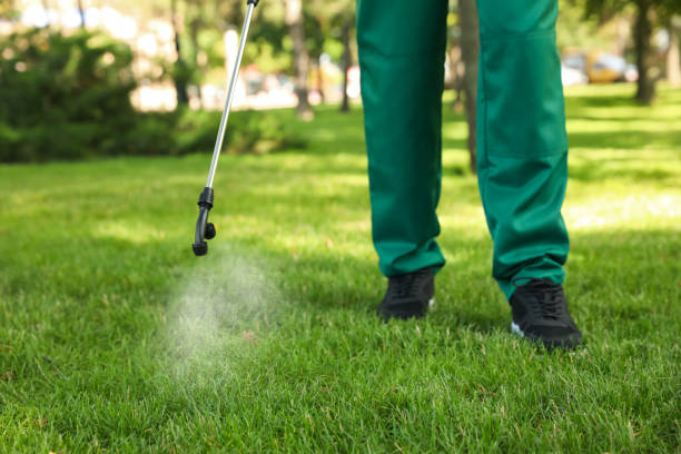 Best Bed Bug Extermination  in Ashburn, VA