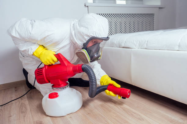  Ashburn, VA Pest Control Pros