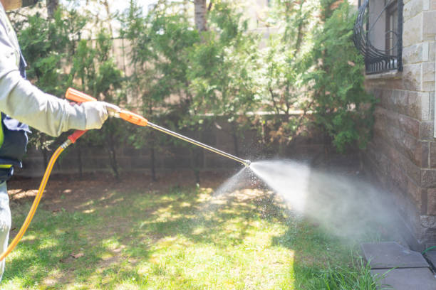 Best Best Pest Control Companies  in Ashburn, VA