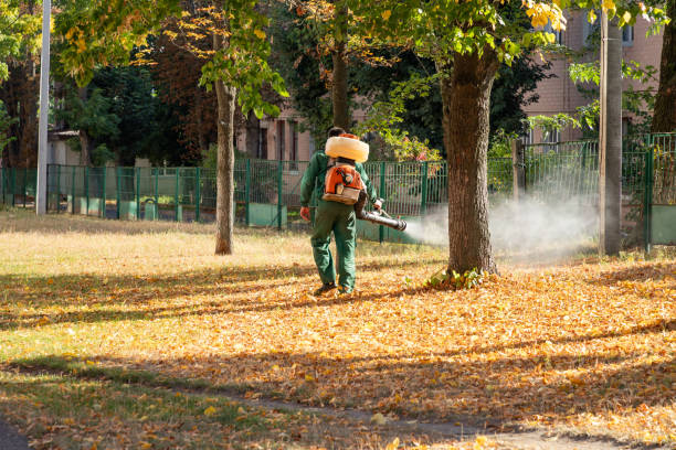 Best Spider Control Near Me  in Ashburn, VA