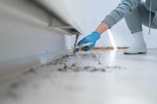Best Exterminator Services  in Ashburn, VA