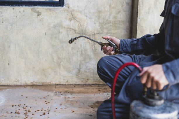 Best Affordable Pest Control Services  in Ashburn, VA